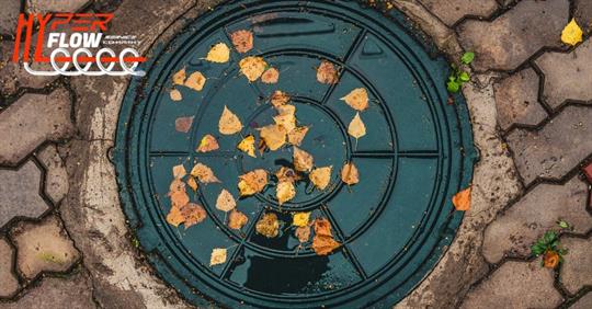 sewer with autumn leaves